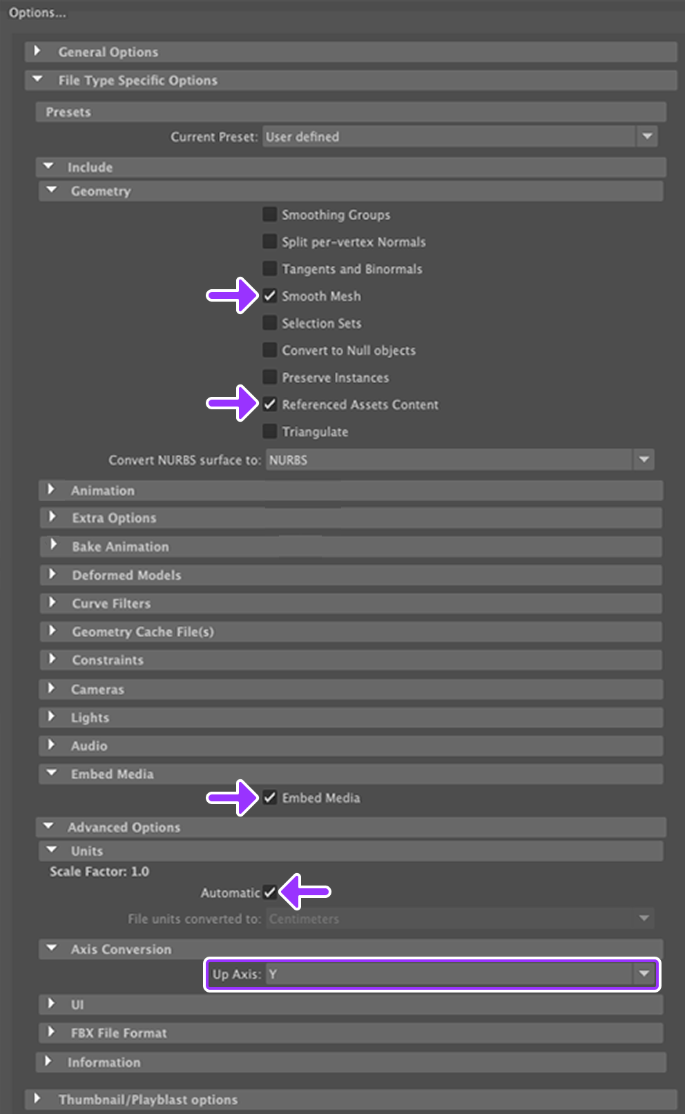 Screenshot of Maya export settings for exports with animation.