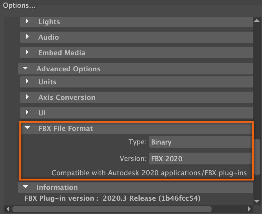 A close up view of the Options pane. The FBX File Format settings are highlighted.