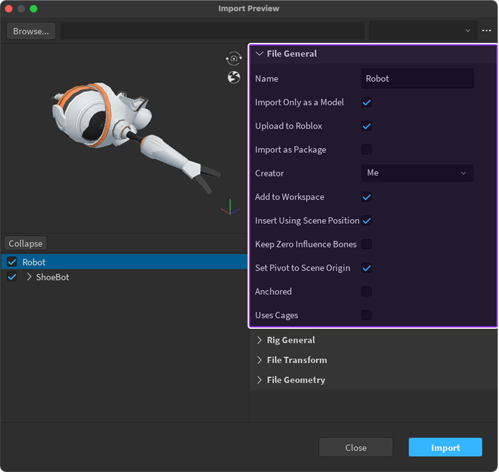 The Import Preview window with the File General section highlighted.