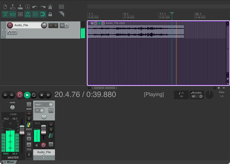 Reaper's UI with the Arrange Area highlighted.