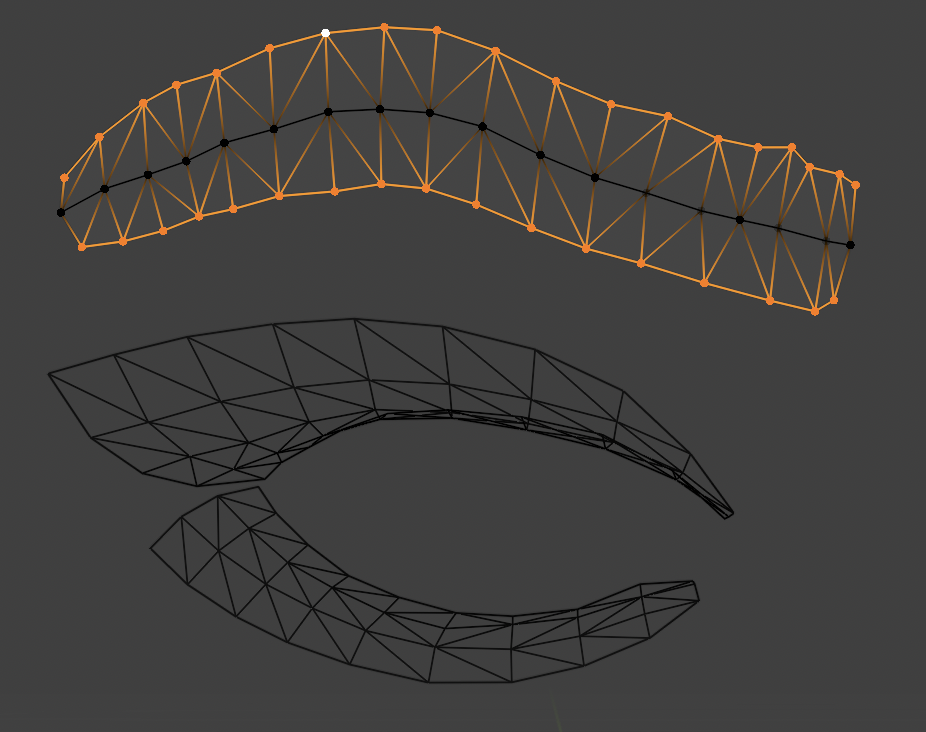 Screenshot of vertices assigned as follower.
