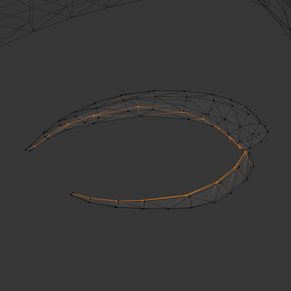 Screenshot of vertices assigned as leader.